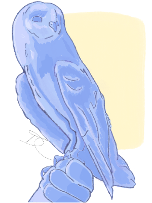 Blue owl illustration on a white background